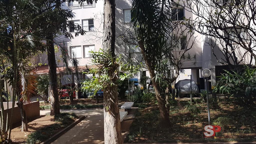 Foto 16